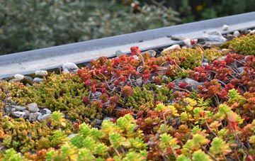 the cost of Pembridge green roof installation