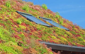 Pembridge living roof systems