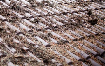 Pembridge roof cleaning companies