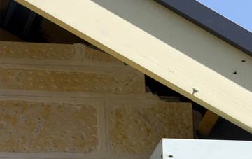 soffit repair Pembridge